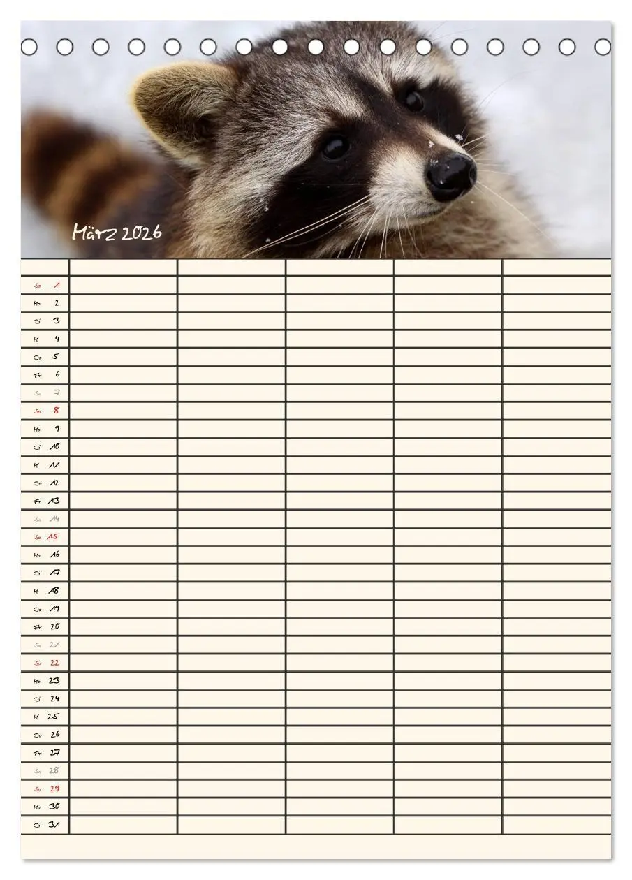 Bild: 9783516477771 | Waschbären Familienplaner (Tischkalender 2026 DIN A5 hoch),...