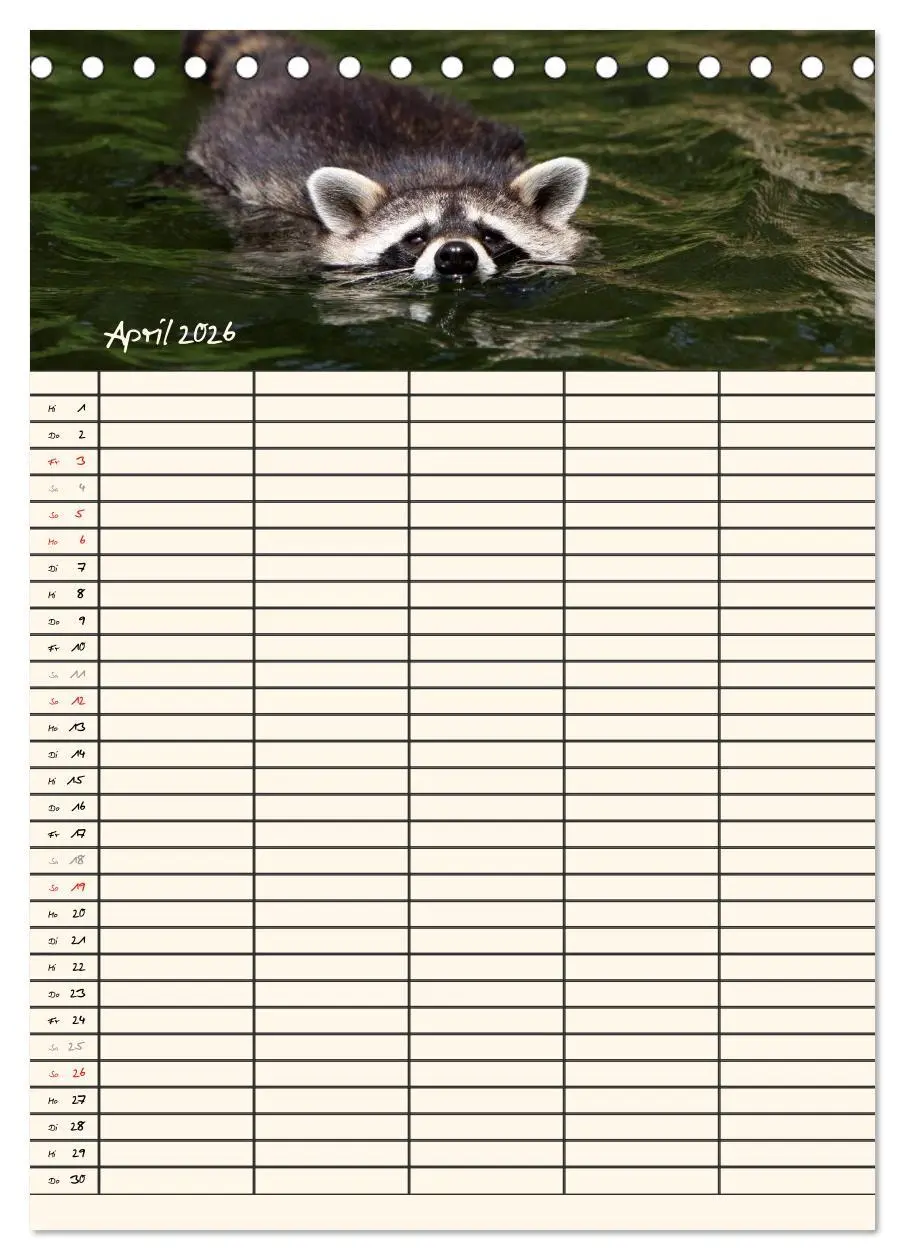 Bild: 9783516477771 | Waschbären Familienplaner (Tischkalender 2026 DIN A5 hoch),...