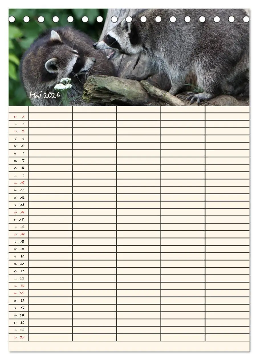 Bild: 9783516477771 | Waschbären Familienplaner (Tischkalender 2026 DIN A5 hoch),...