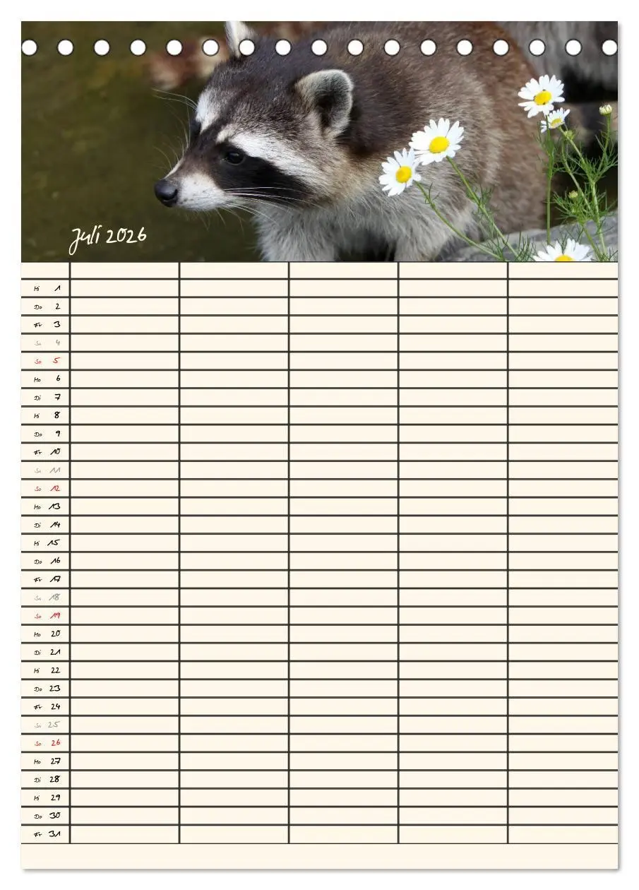 Bild: 9783516477771 | Waschbären Familienplaner (Tischkalender 2026 DIN A5 hoch),...