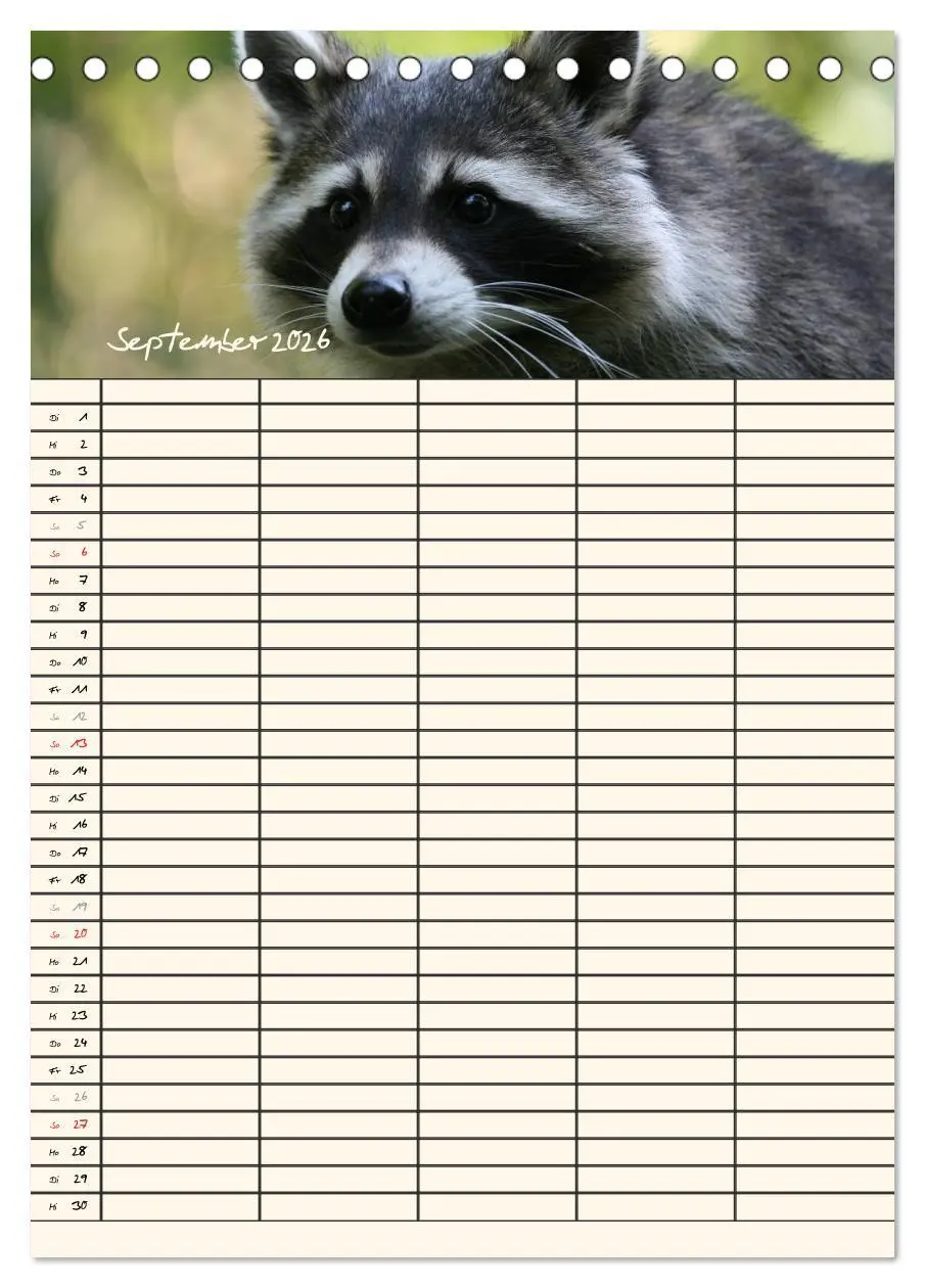 Bild: 9783516477771 | Waschbären Familienplaner (Tischkalender 2026 DIN A5 hoch),...