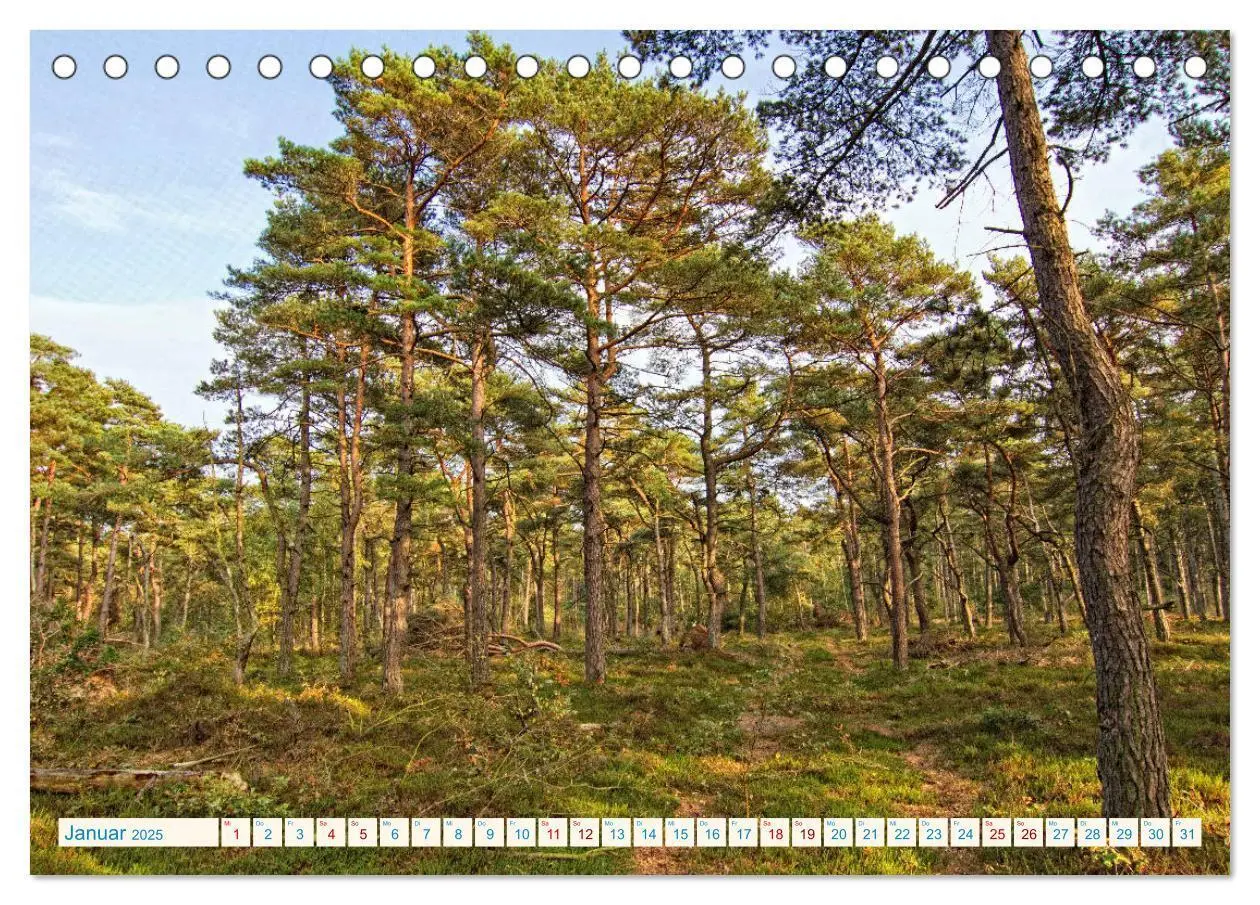 Bild: 9783435427871 | Cuxhaven, Landschaften zwischen Küste und Heide (Tischkalender 2025...