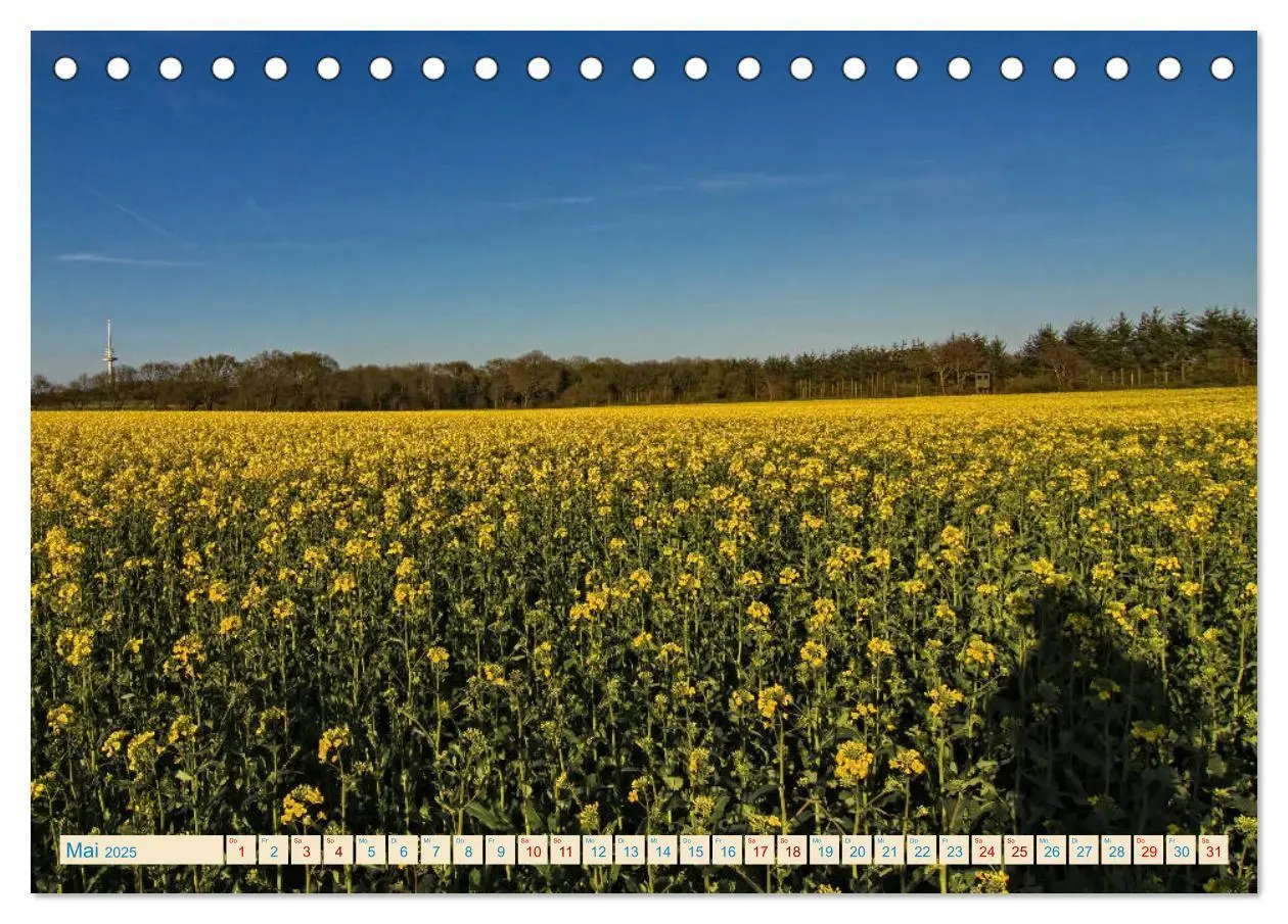 Bild: 9783435427871 | Cuxhaven, Landschaften zwischen Küste und Heide (Tischkalender 2025...