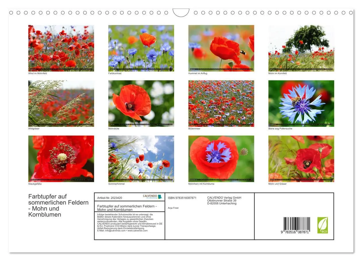 Bild: 9783516087871 | Farbtupfer auf sommerlichen Feldern - Mohn und Kornblumen...