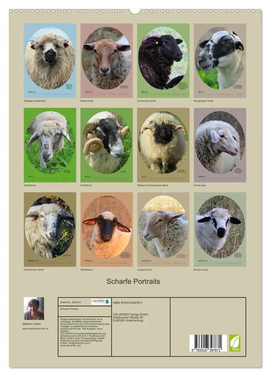 Bild: 9783516397871 | Scharfe Portraits (Wandkalender 2026 DIN A2 hoch), CALVENDO...
