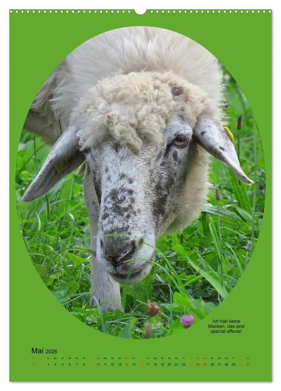 Bild: 9783516397871 | Scharfe Portraits (Wandkalender 2026 DIN A2 hoch), CALVENDO...