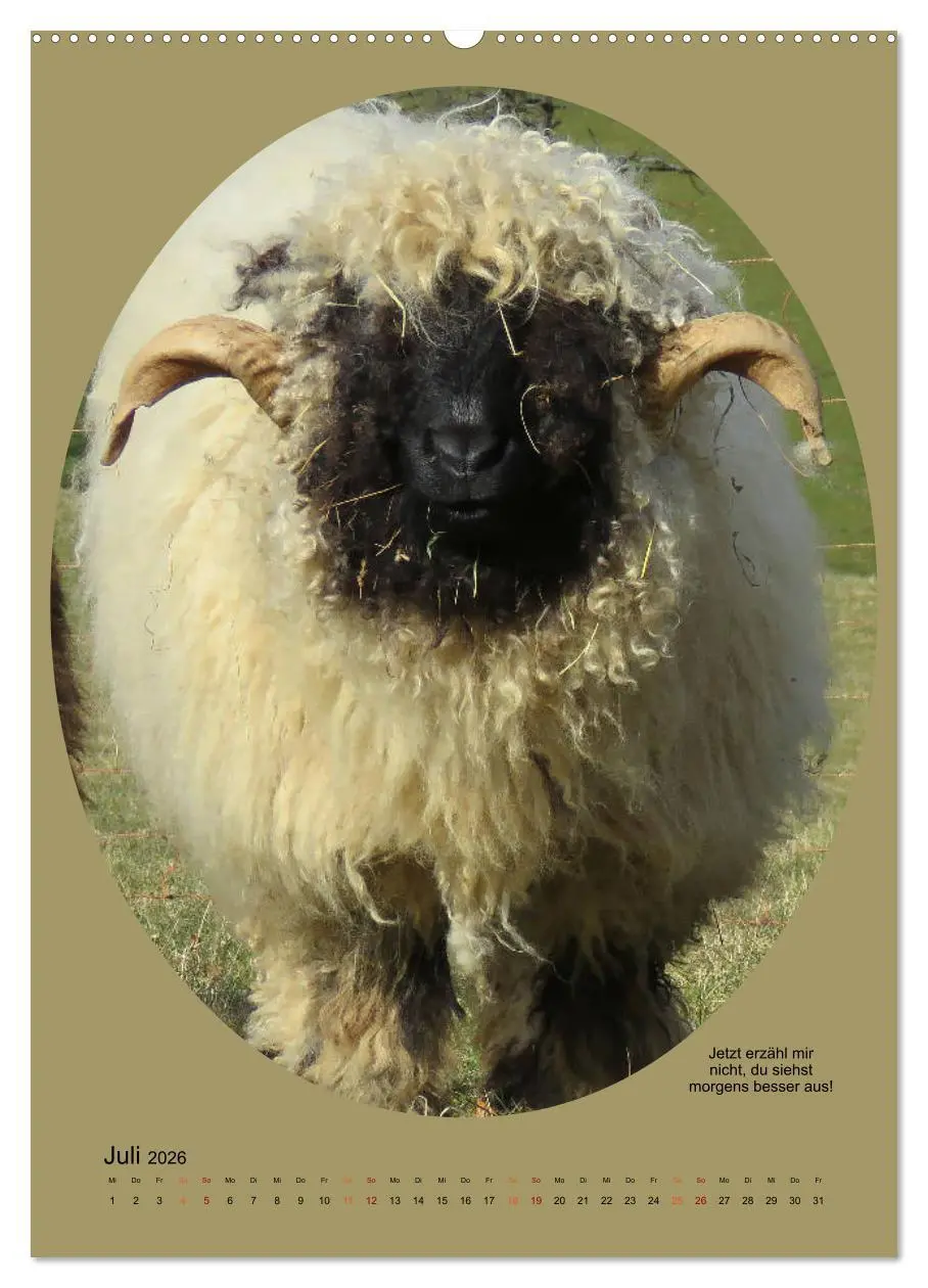 Bild: 9783516397871 | Scharfe Portraits (Wandkalender 2026 DIN A2 hoch), CALVENDO...