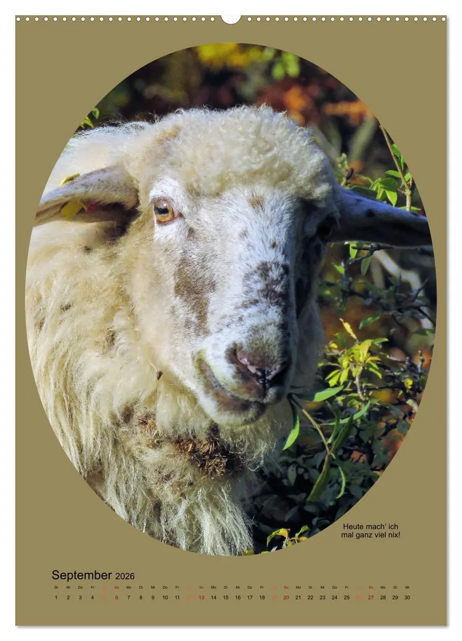 Bild: 9783516397871 | Scharfe Portraits (Wandkalender 2026 DIN A2 hoch), CALVENDO...