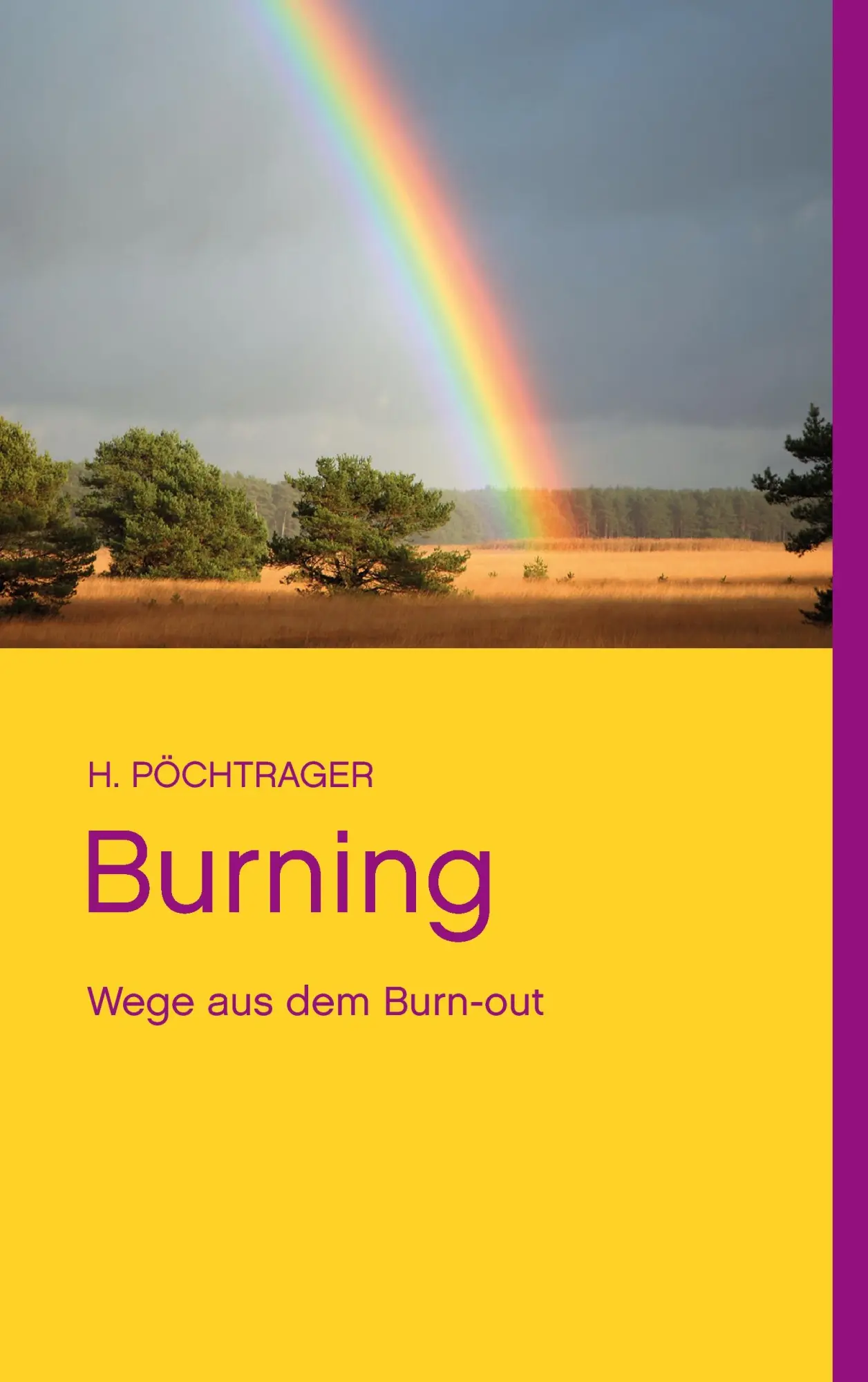 Cover: 9783740727871 | Burning | Wege aus dem Burn-out | H. Pöchtrager | Taschenbuch | 84 S.