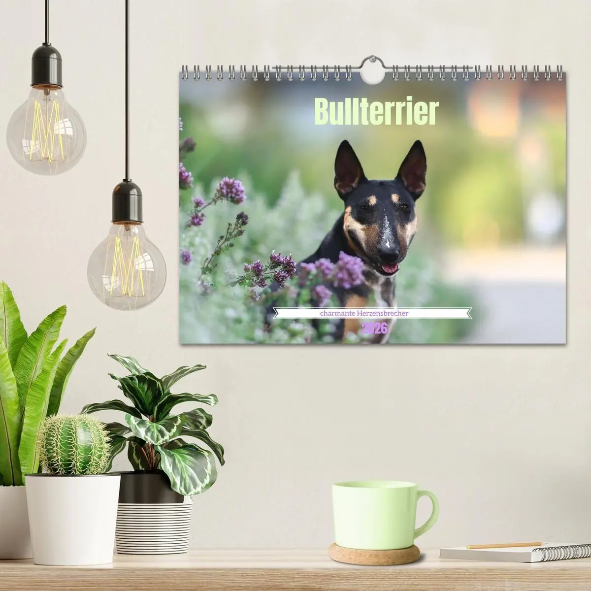 Bild: 9783516697971 | Bullterrier - charmante Herzensbrecher (Wandkalender 2026 DIN A4...