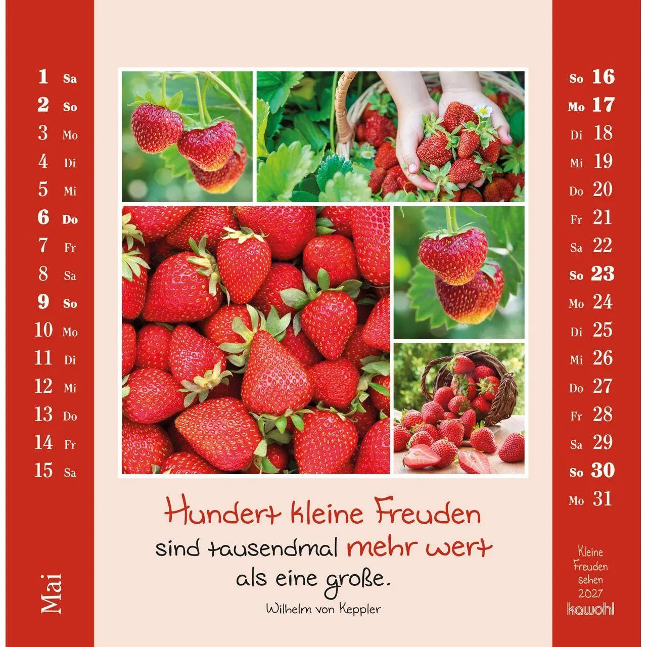 Bild: 9783754817971 | Kleine Freuden sehen 2027 | Postkarten-Kalender mit Bildcollagen