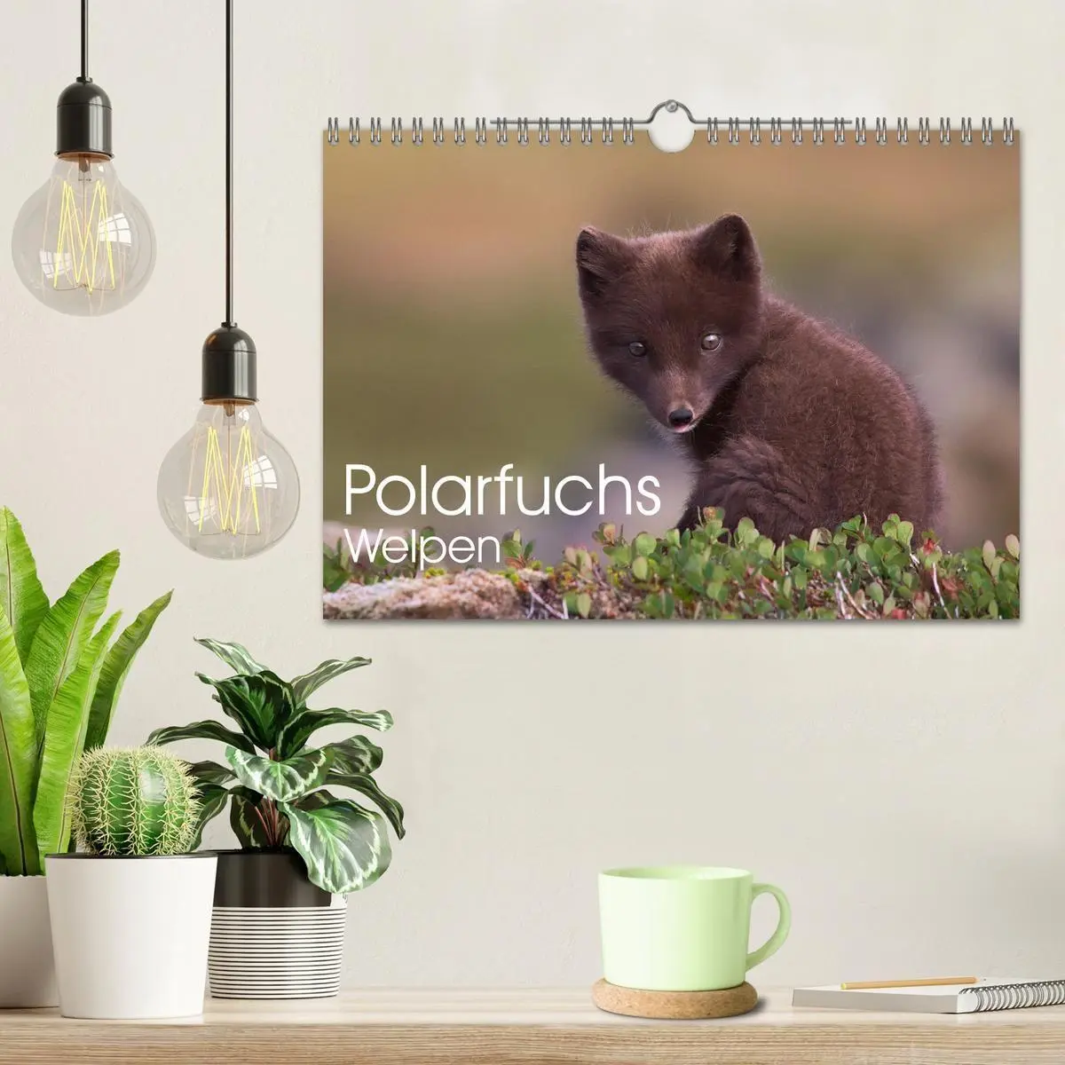 Bild: 9783516658071 | Polarfuchs-Welpen (Wandkalender 2026 DIN A4 quer), CALVENDO...