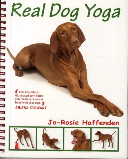 Cover: 9781910488171 | Real Dog Yoga | Jo-Rosie Haffenden | Taschenbuch | Englisch | 2015