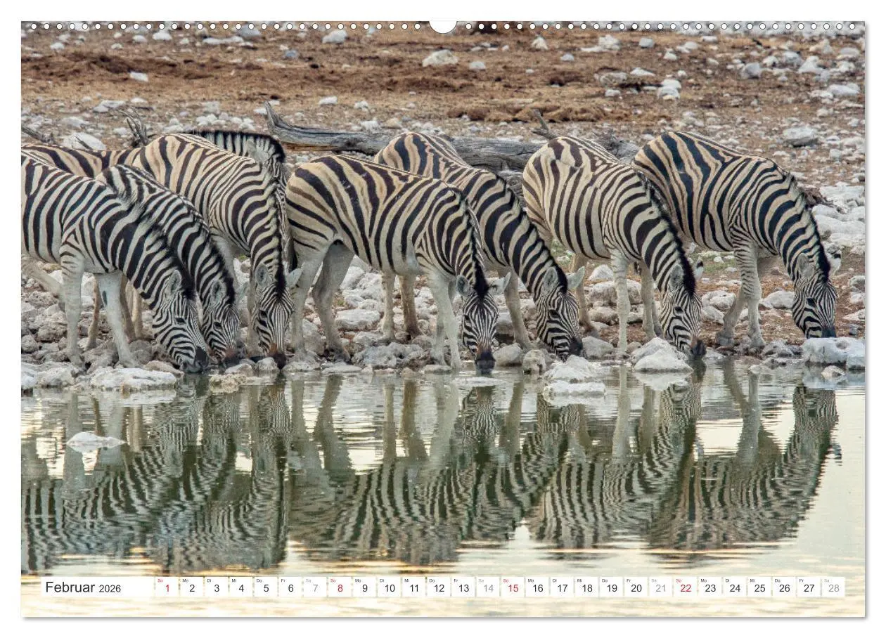 Bild: 9783457248171 | Afrika - Namibia (Wandkalender 2026 DIN A2 quer), CALVENDO...