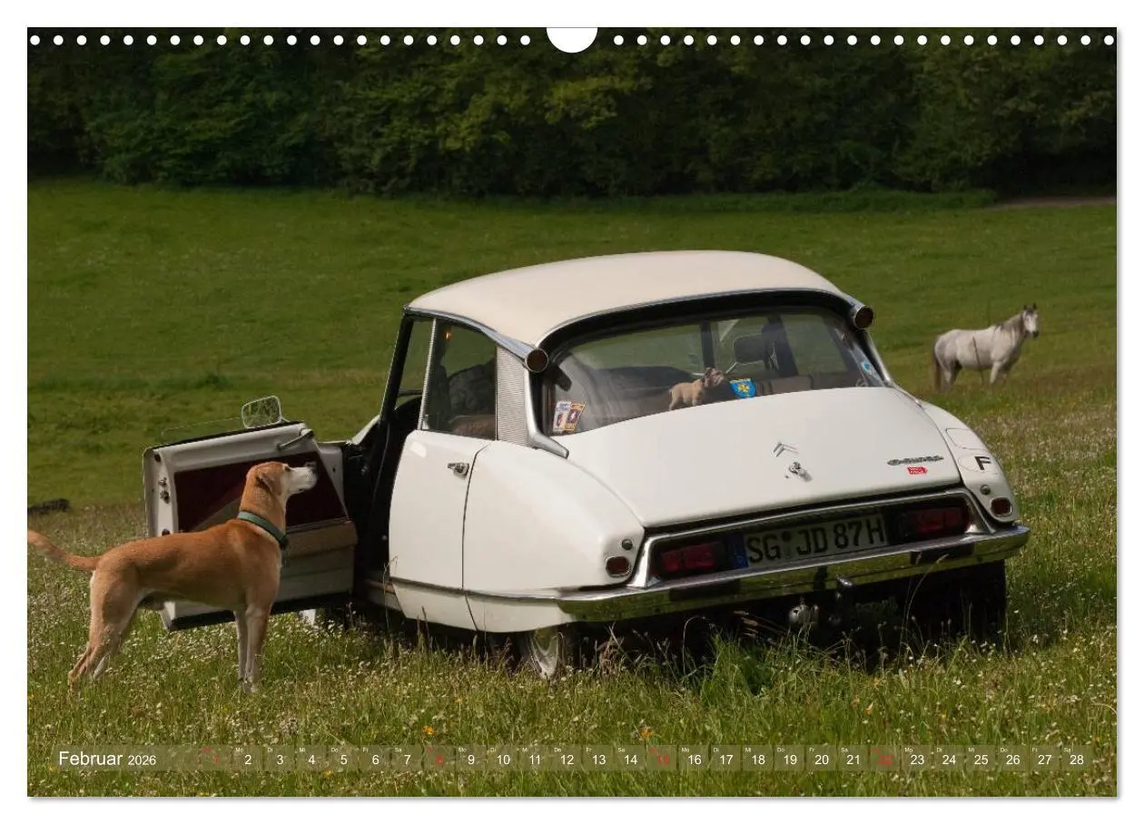 Bild: 9783516028171 | Citroën DS - Göttin in weiß (Wandkalender 2026 DIN A3 quer),...