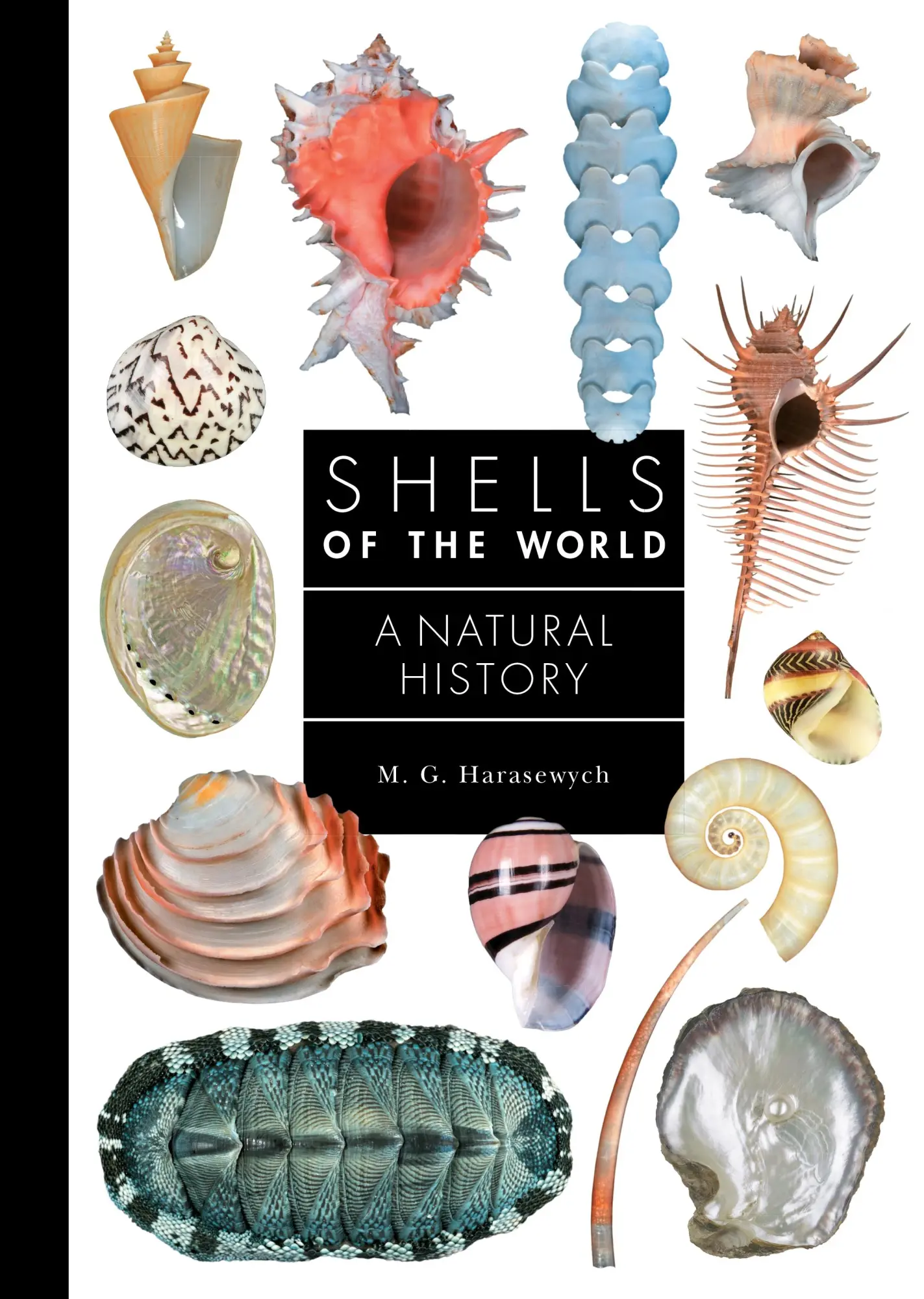 Cover: 9780691248271 | Shells of the World | A Natural History | M G Harasewych | Buch | 2024