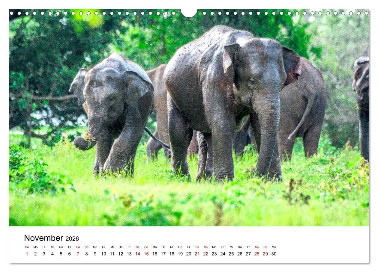 Bild: 9783457608371 | Sri Lanka - Eine wahre Perle im Indischen Ozean (Wandkalender 2026...