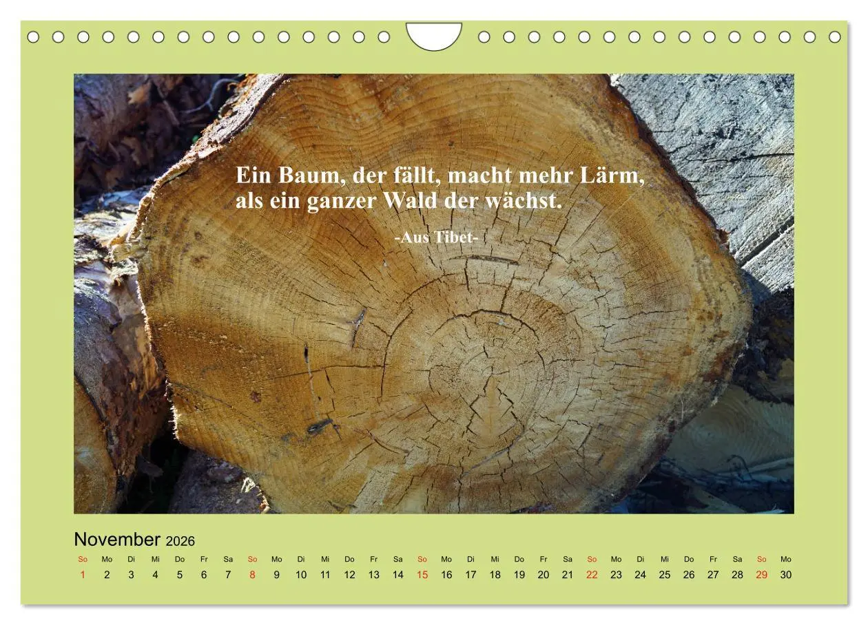 Bild: 9783457918371 | Lebensweisheiten mit Bildern unterlegt (Wandkalender 2026 DIN A4...