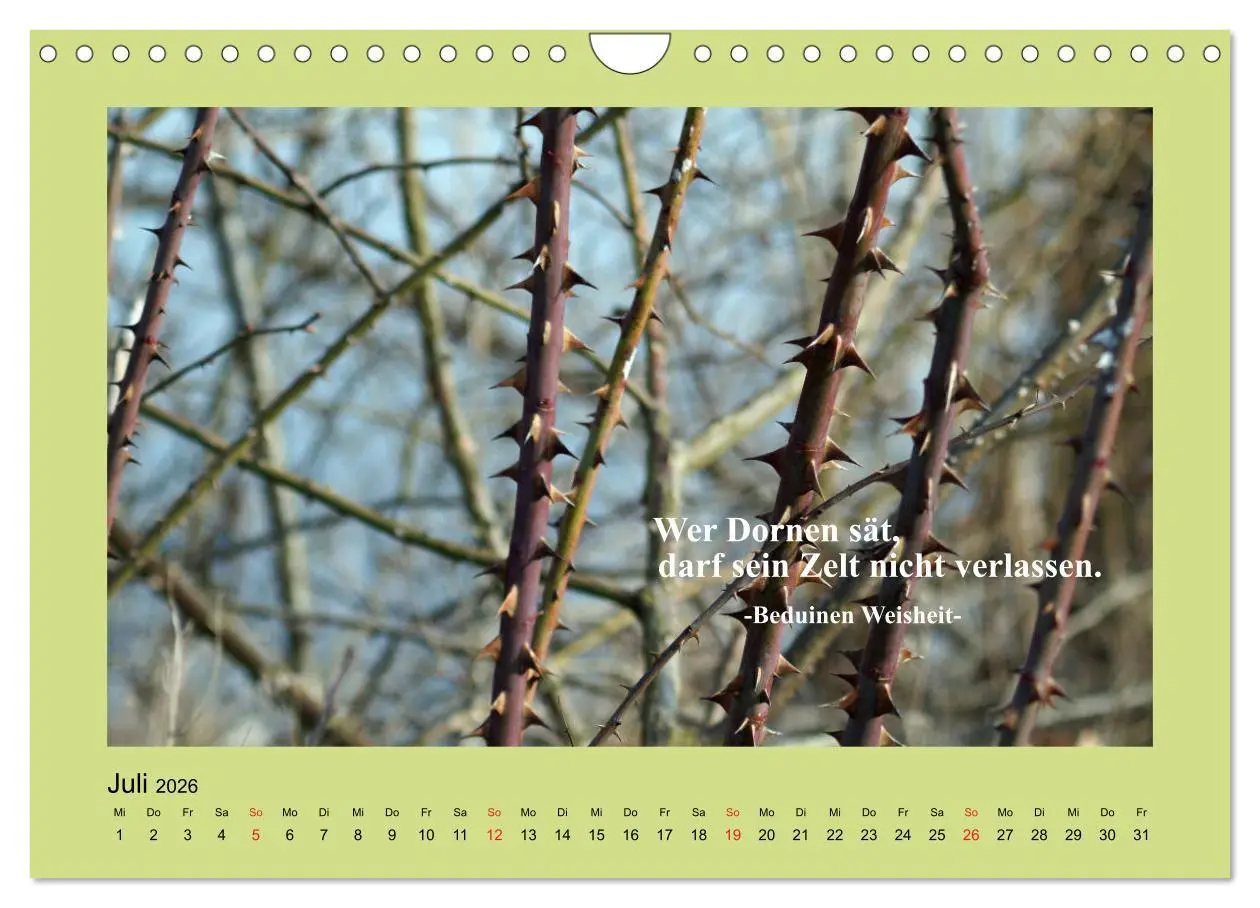 Bild: 9783457918371 | Lebensweisheiten mit Bildern unterlegt (Wandkalender 2026 DIN A4...
