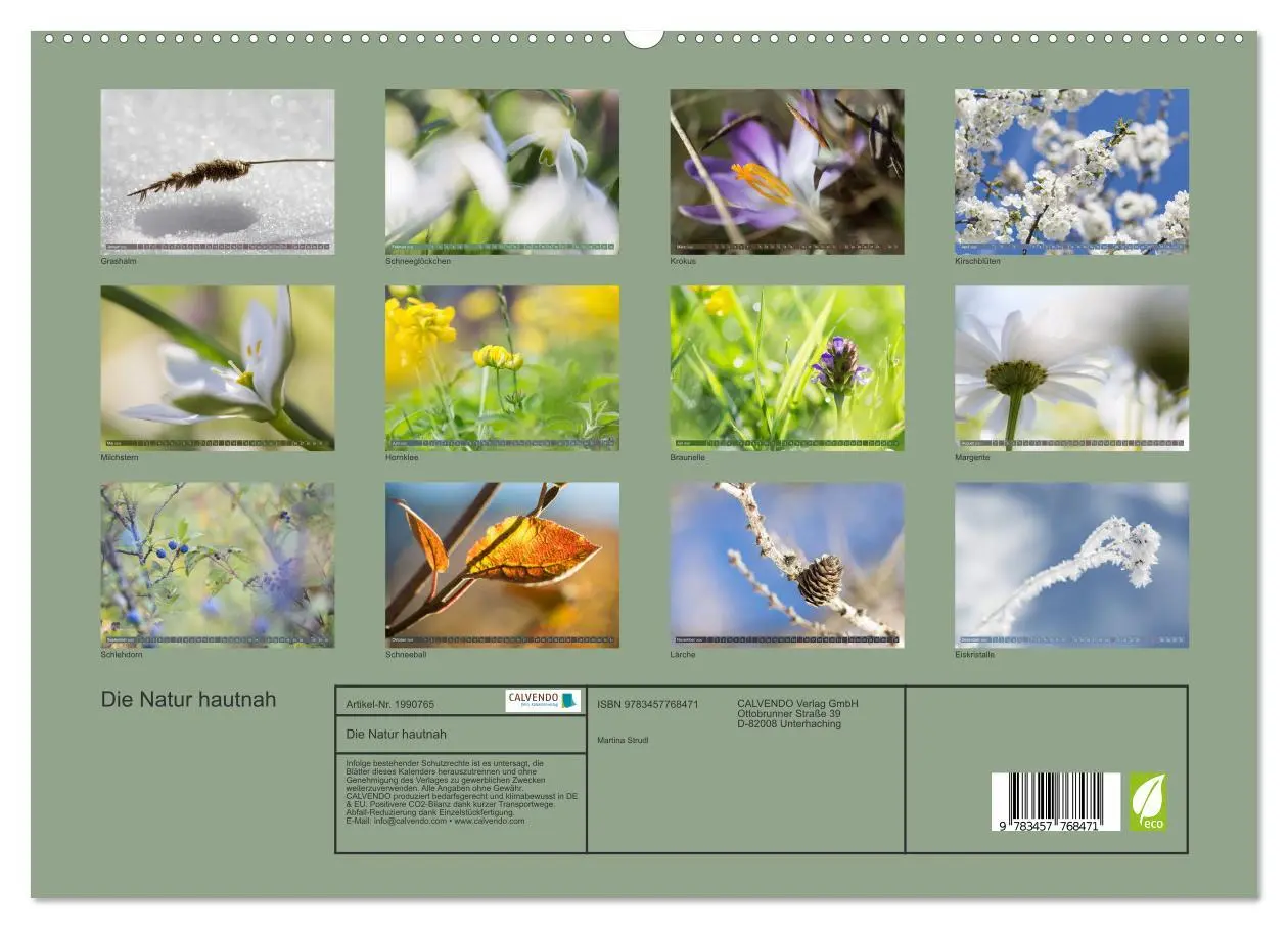 Bild: 9783457768471 | Die Natur hautnah (hochwertiger Premium Wandkalender 2026 DIN A2...