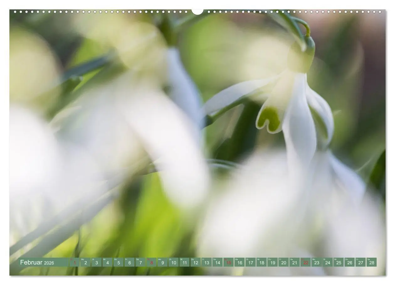 Bild: 9783457768471 | Die Natur hautnah (hochwertiger Premium Wandkalender 2026 DIN A2...