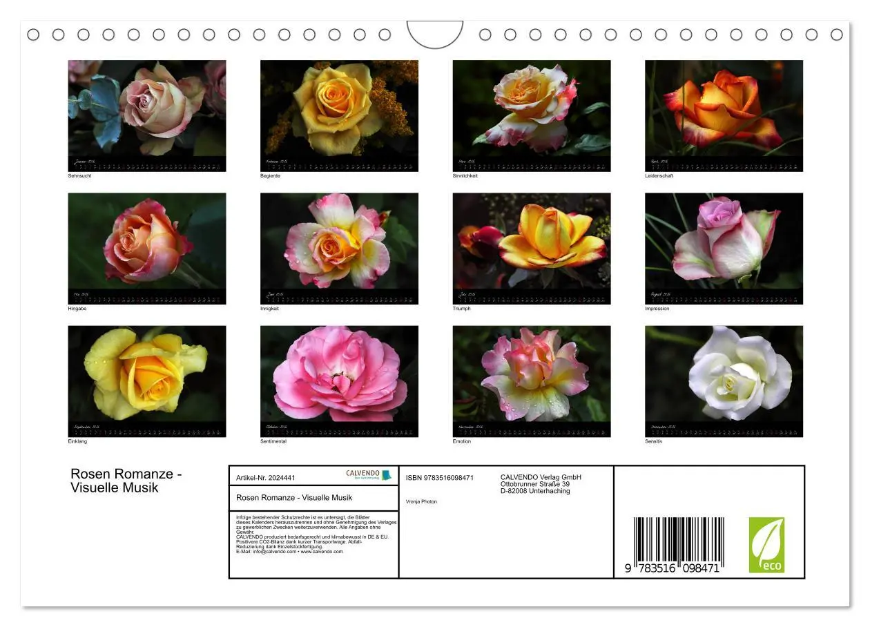 Bild: 9783516098471 | Rosen Romanze - Visuelle Musik (Wandkalender 2026 DIN A4 quer),...