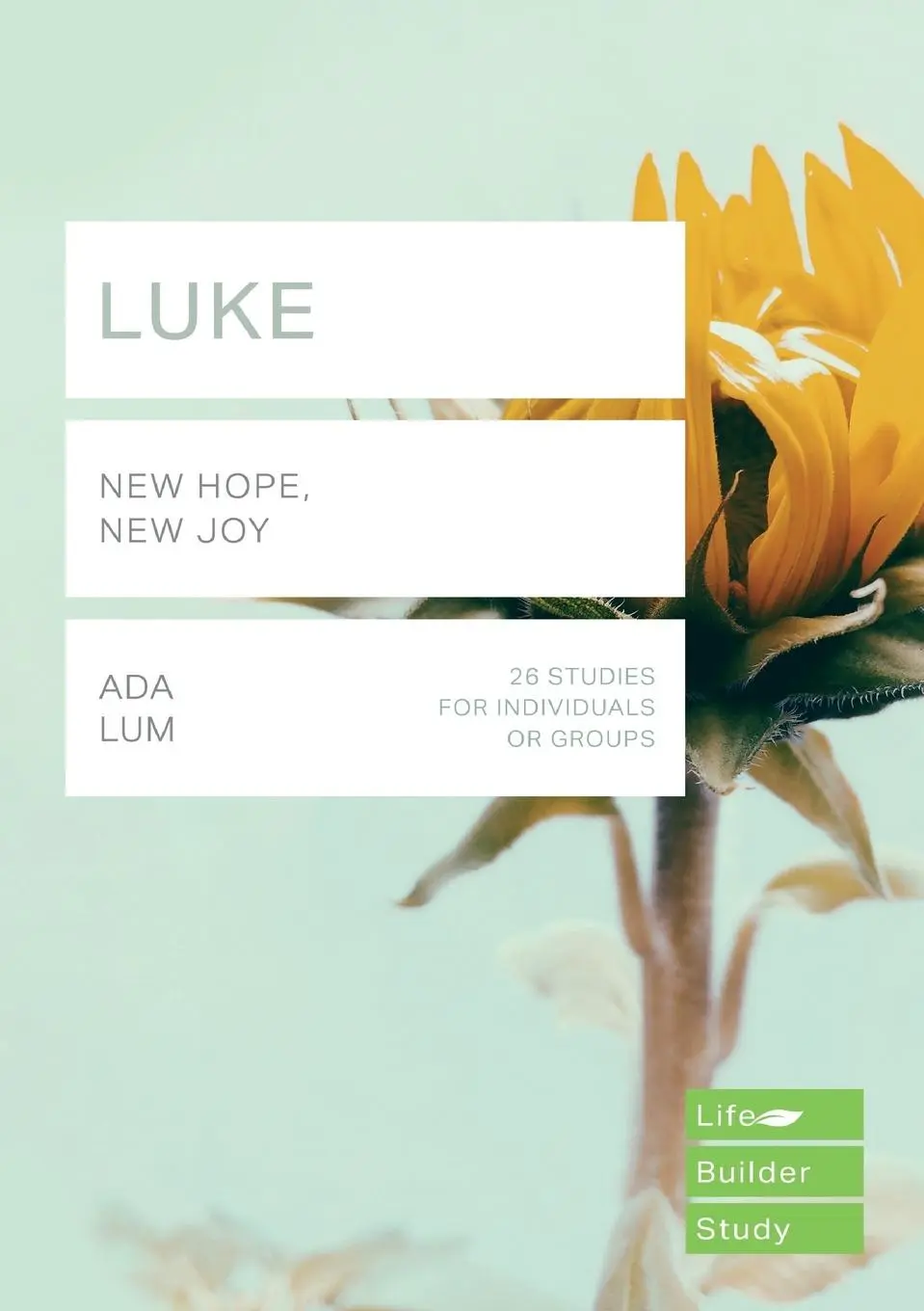 Cover: 9781783598571 | Luke (Lifebuilder Study Guides) | New Hope, New Joy | Ada Lum | Buch