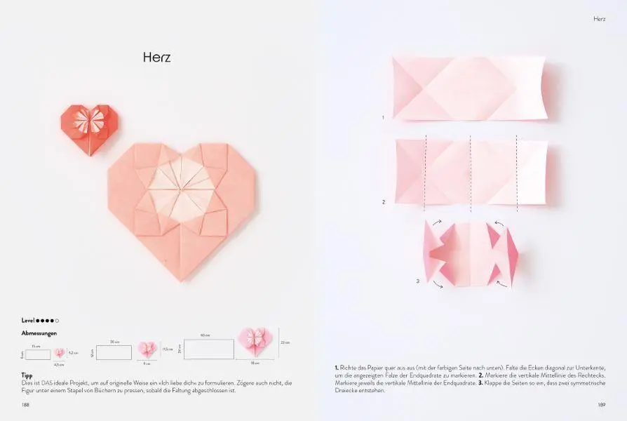 Bild: 9783838838571 | Das große Origami Buch | Faltkunst - von klassisch bis außergewöhnlich