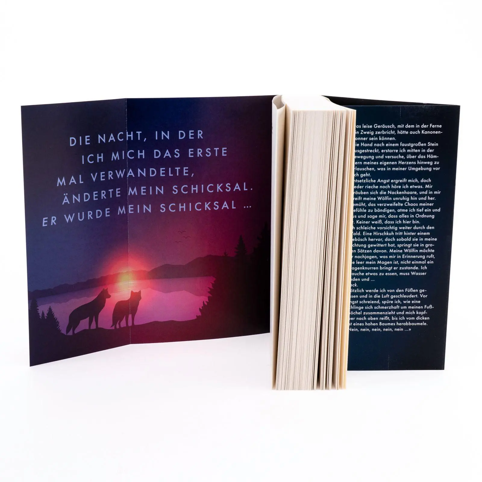 Bild: 9783499018671 | Rabid | Ihr Herz ist ungezähmt. Ihr Wille ungebrochen. | Asher (u. a.)