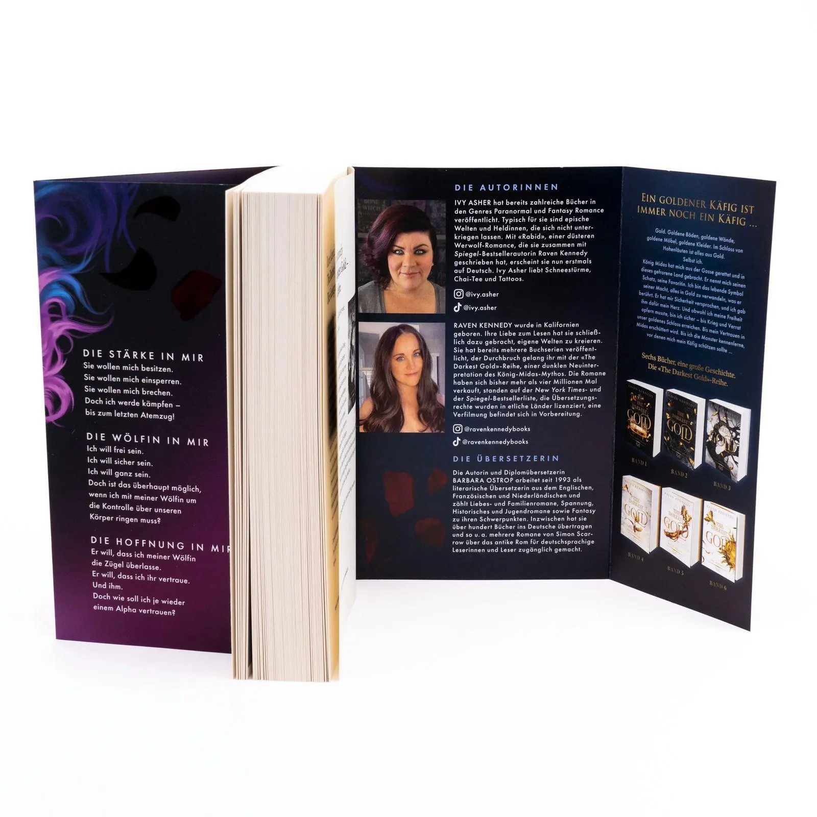 Bild: 9783499018671 | Rabid | Ihr Herz ist ungezähmt. Ihr Wille ungebrochen. | Asher (u. a.)