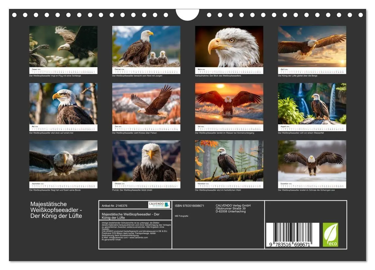 Bild: 9783516698671 | Majestätische Weißkopfseeadler - Der König der Lüfte (Wandkalender...
