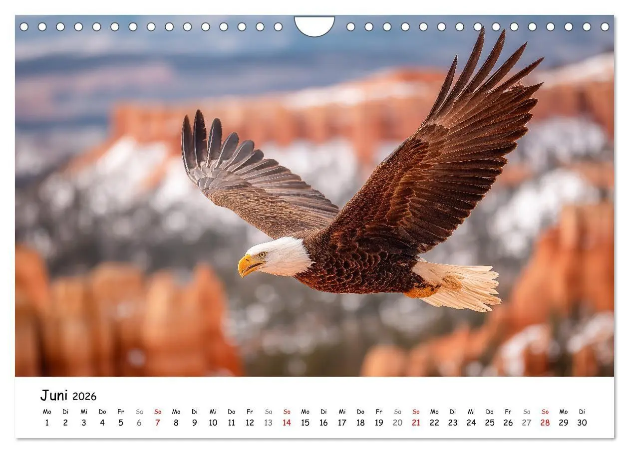 Bild: 9783516698671 | Majestätische Weißkopfseeadler - Der König der Lüfte (Wandkalender...