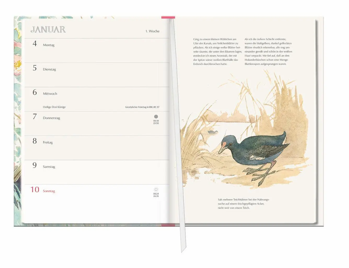 Bild: 9783756418671 | Edith Holden: Leben mit der Natur Kalenderbuch A5 2027 - Tagebuch &amp;...