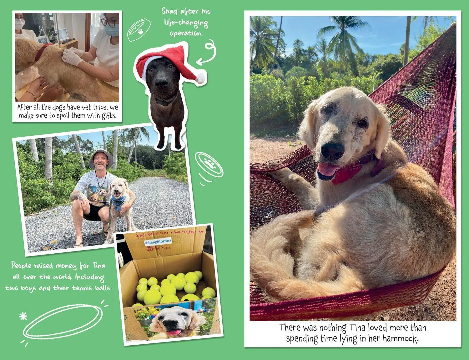 Bild: 9780008798871 | TINA DOG WHO CHANGED WORLD PB | Niall Harbison | Taschenbuch | 224 S.