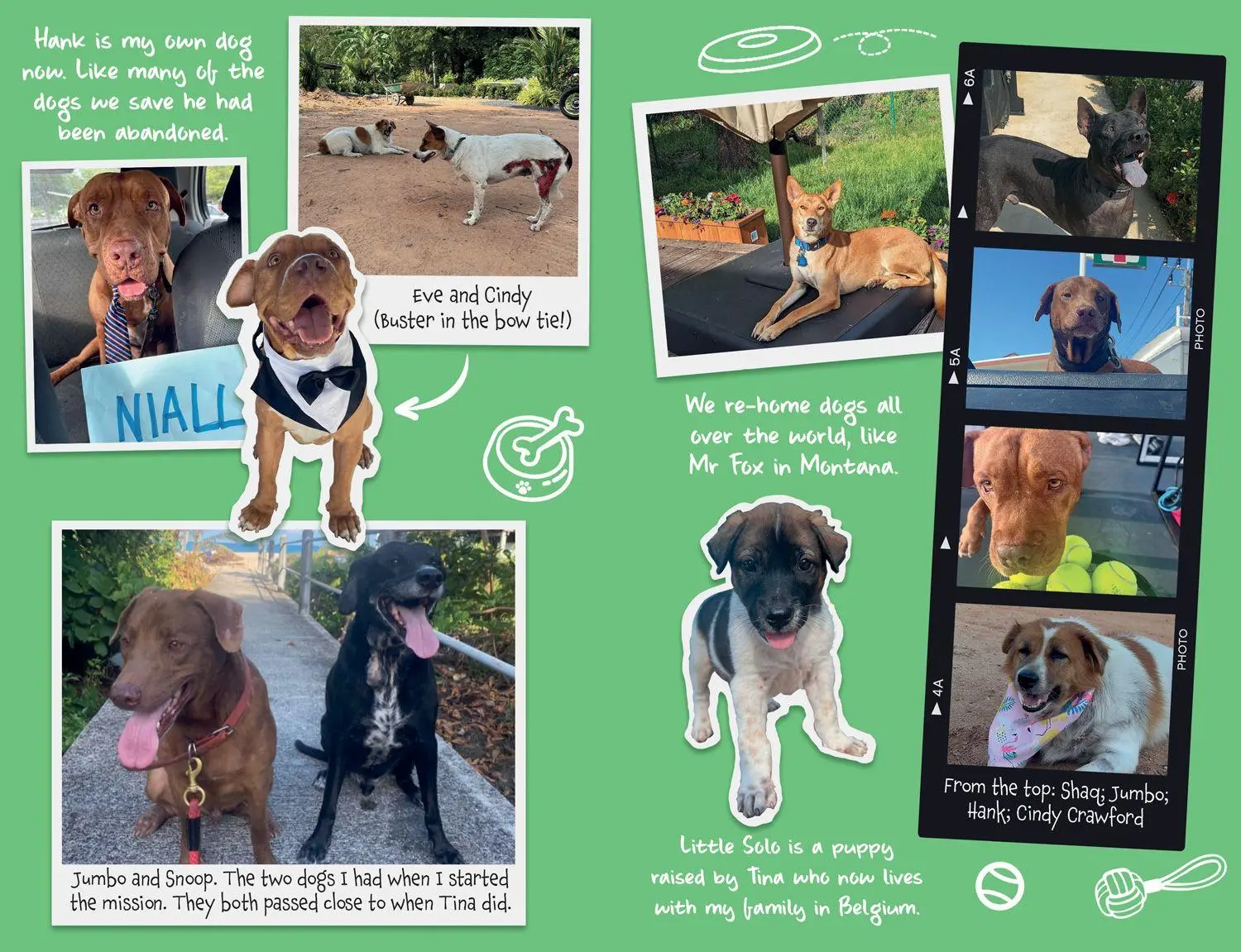 Bild: 9780008798871 | TINA DOG WHO CHANGED WORLD PB | Niall Harbison | Taschenbuch | 224 S.