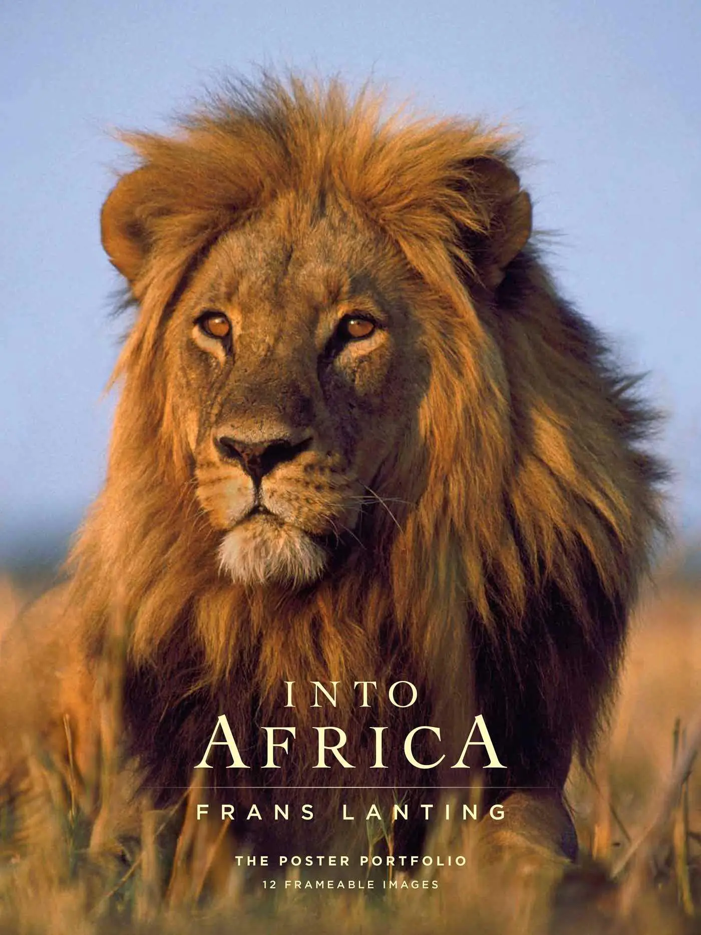 Cover: 9781608878871 | Into Africa: The Poster Portfolio | 12 Frameable Images | Taschenbuch