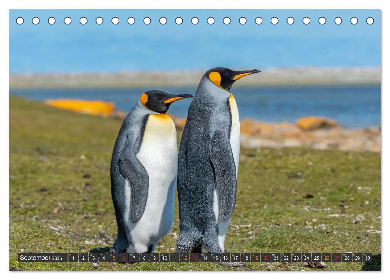 Bild: 9783457658871 | Südamerika - Reise ans Ende der Welt (Tischkalender 2026 DIN A5...