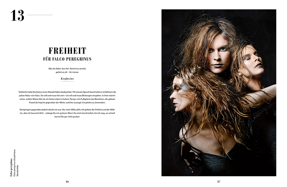 Bild: 9783945539071 | Sepia tanzt allein | Andrea Simon | Buch | Mit Lesebändchen | Gebunden
