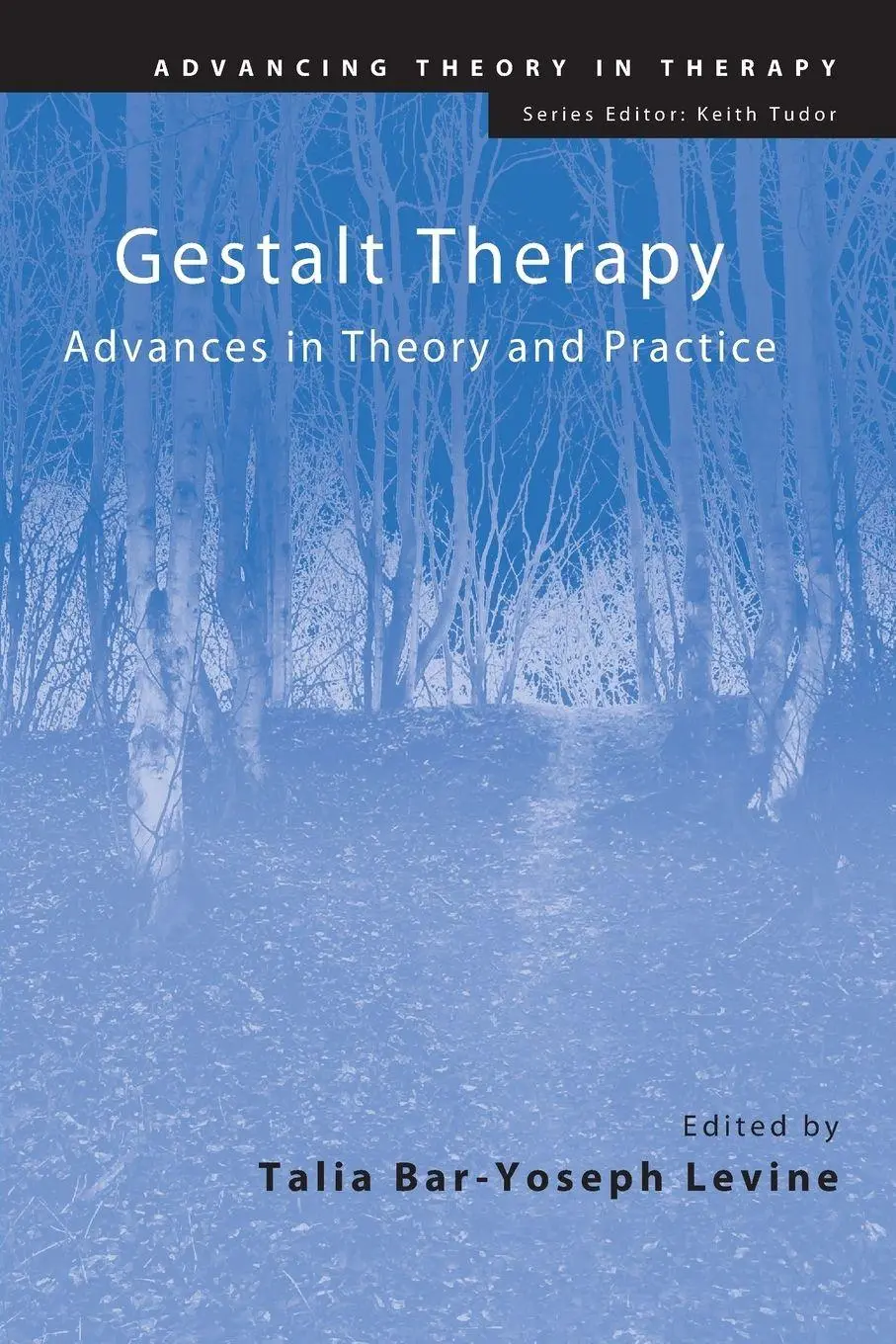 Cover: 9780415489171 | Gestalt Therapy | Advances in Theory and Practice | Levine | Buch