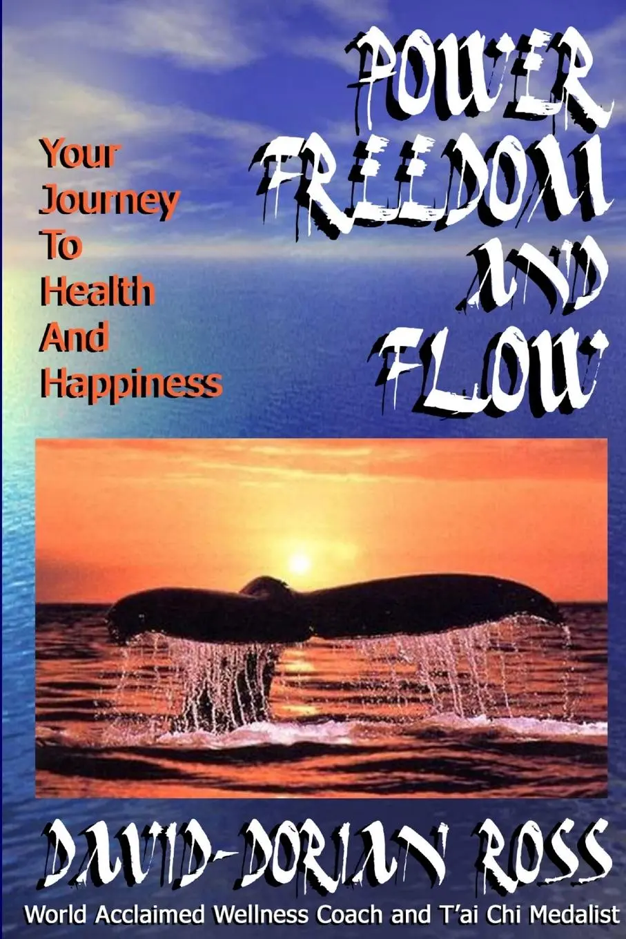 Cover: 9781411639171 | Power, Freedom and Flow | David-Dorian Ross | Taschenbuch | Englisch