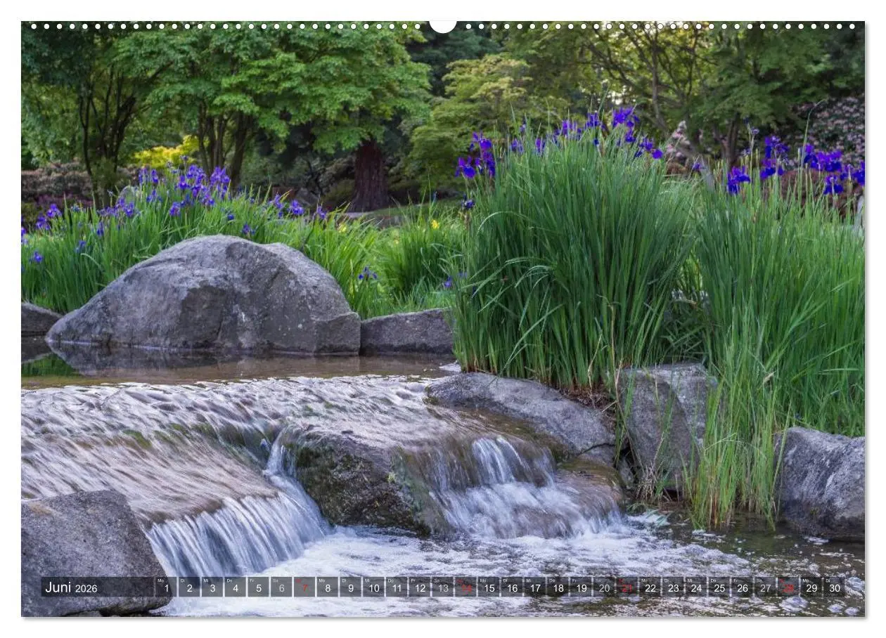 Bild: 9783457909171 | Feng Shui Farben - Element Wasser (Wandkalender 2026 DIN A2 quer),...