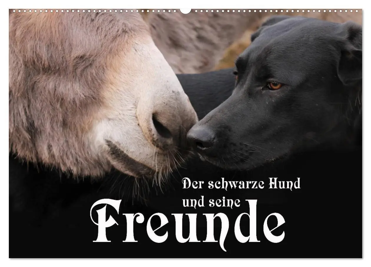Cover: 9783516099171 | Der schwarze Hund und seine Freunde (Wandkalender 2026 DIN A2...