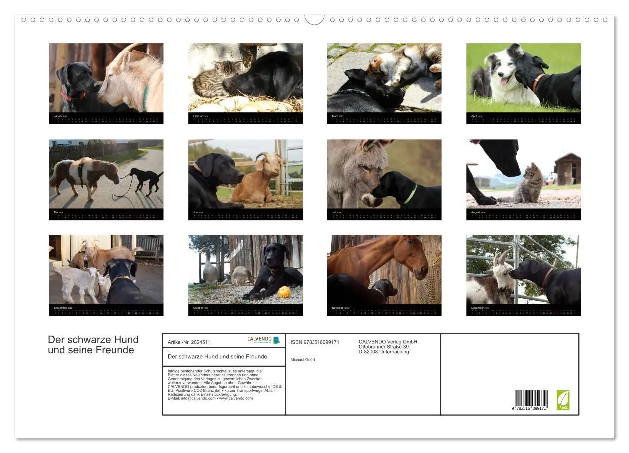 Bild: 9783516099171 | Der schwarze Hund und seine Freunde (Wandkalender 2026 DIN A2...