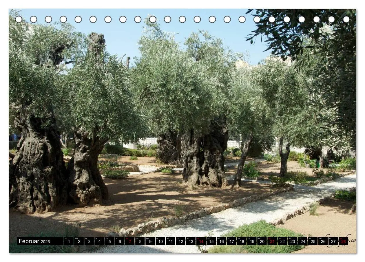 Bild: 9783516239171 | Israel Heute (Tischkalender 2026 DIN A5 quer), CALVENDO Monatskalender