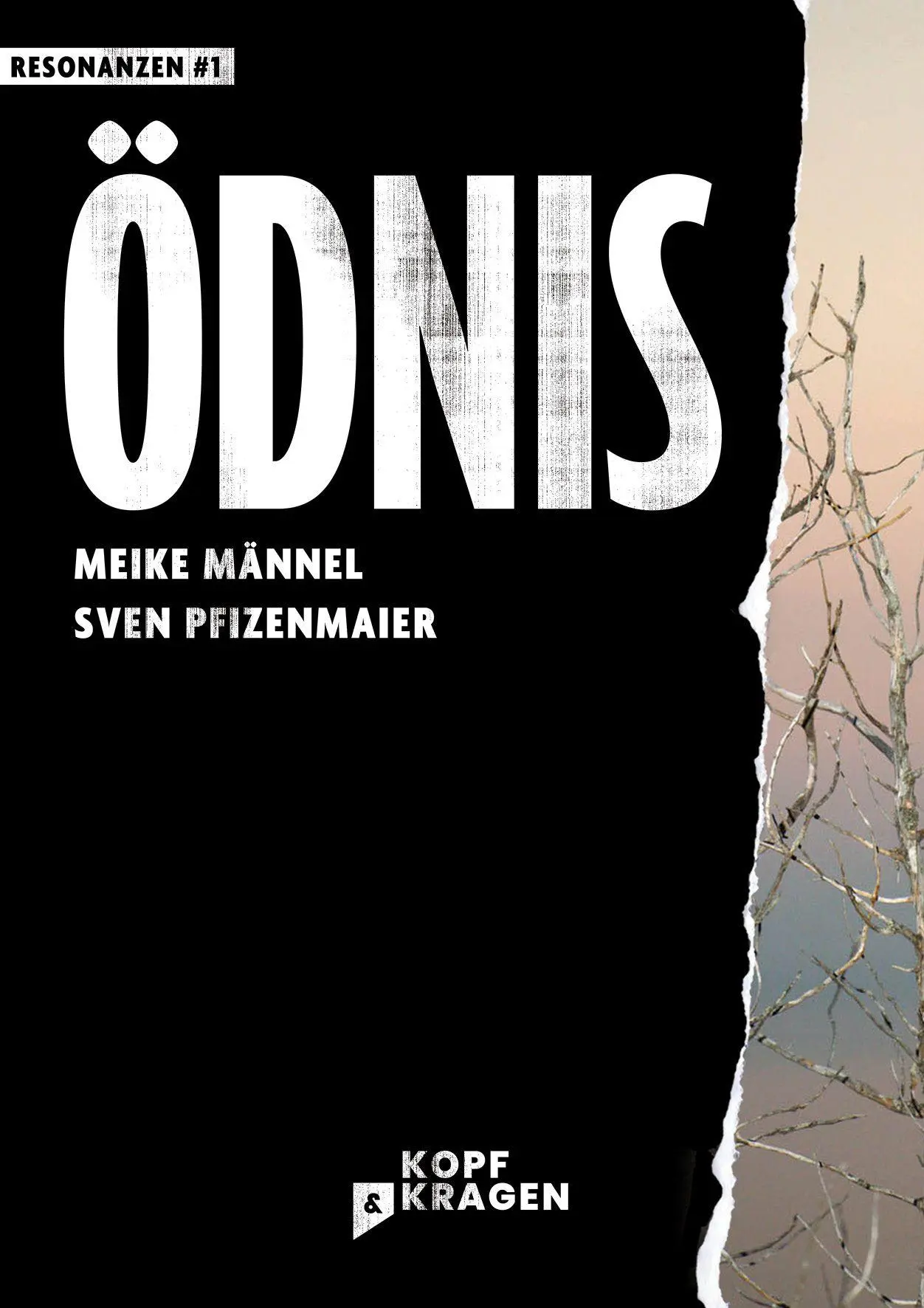 Cover: 9783949729171 | Ödnis | Resonanzen #1 | Sven Pfizenmaier (u. a.) | Taschenbuch | 2026