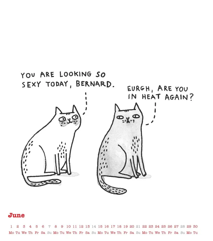 Bild: 4069095009271 | Alpha Edition - A Cat's Life &amp; A Dog's Life 2026 - Wendekalender...
