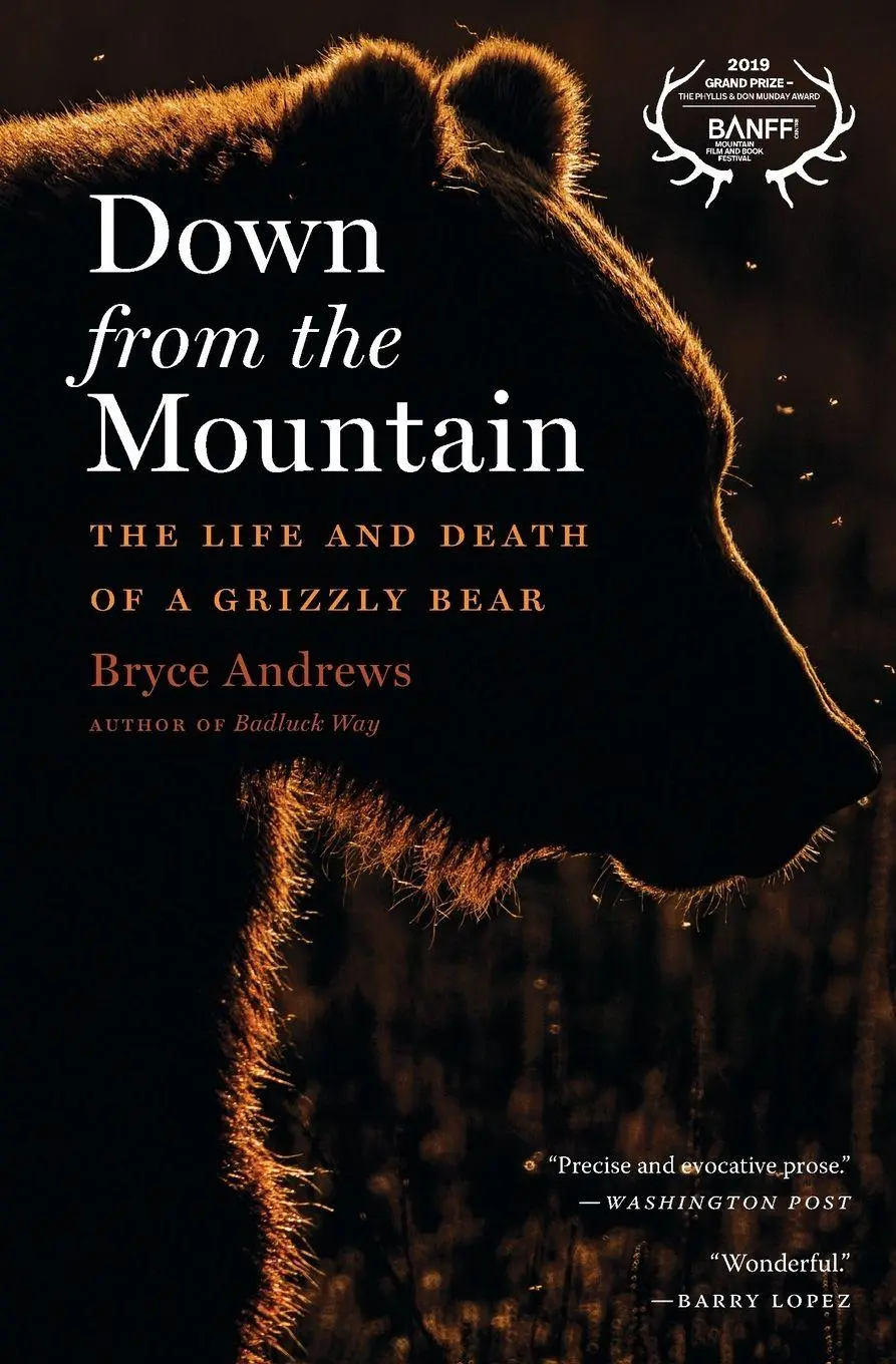 Cover: 9780358299271 | Down from the Mountain | The Life and Death of a Grizzly Bear | Buch