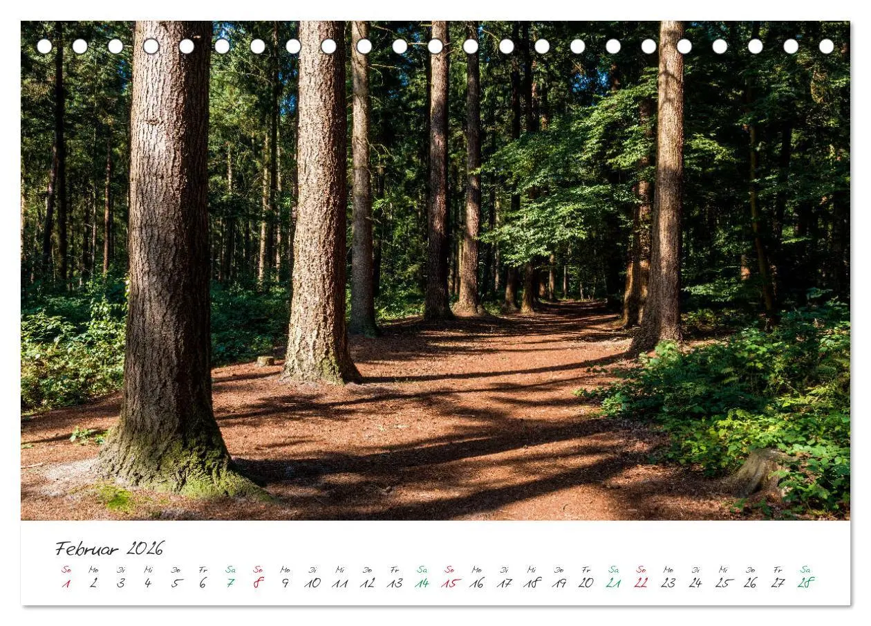 Bild: 9783457759271 | Delmenhorst Spätsommerbilder (Tischkalender 2026 DIN A5 quer),...