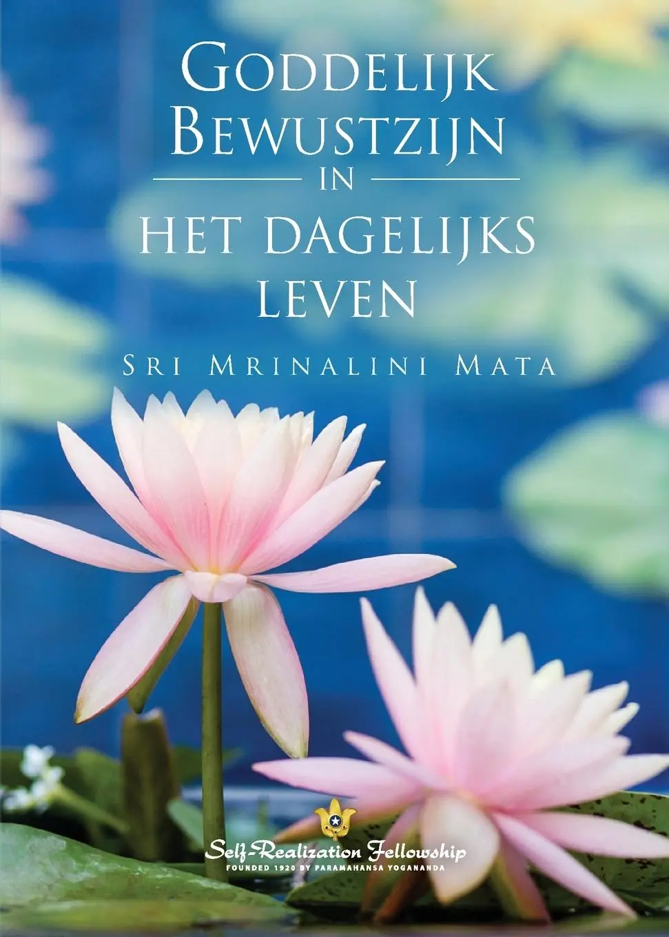 Cover: 9780876129371 | Manifesting Divine Consciousness (Dutch) | Sri Mrinalini Mata | Buch