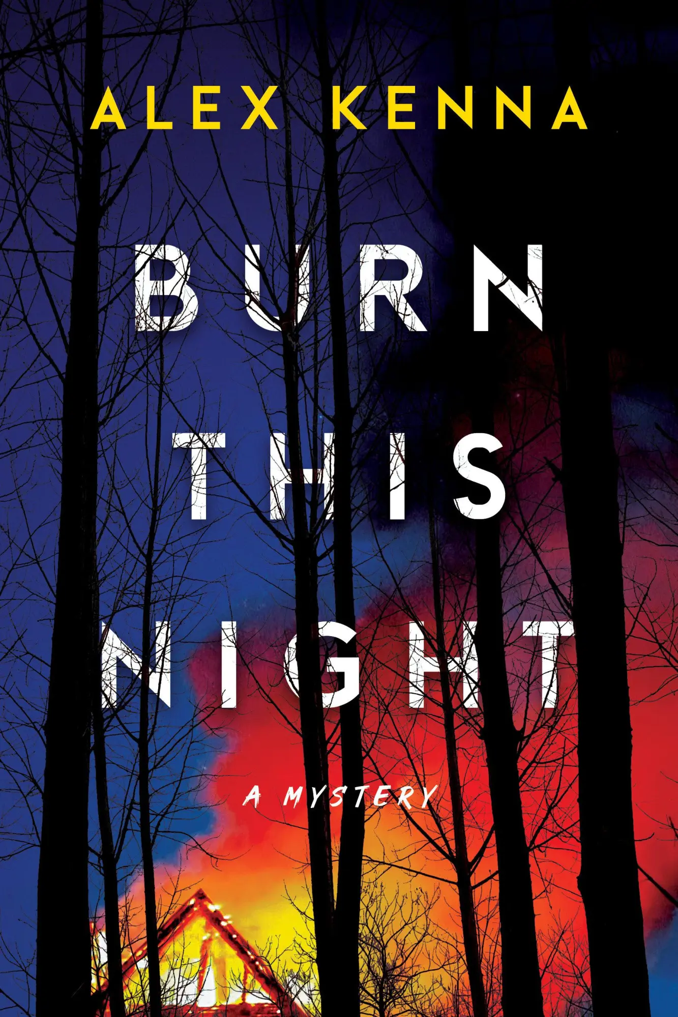 Cover: 9781639109371 | Burn This Night | A Mystery | Alex Kenna | Buch | Englisch | 2024